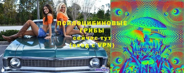 синтетический гашиш Бородино