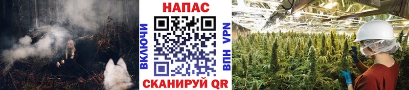 Конопля семена Южно-Сухокумск
